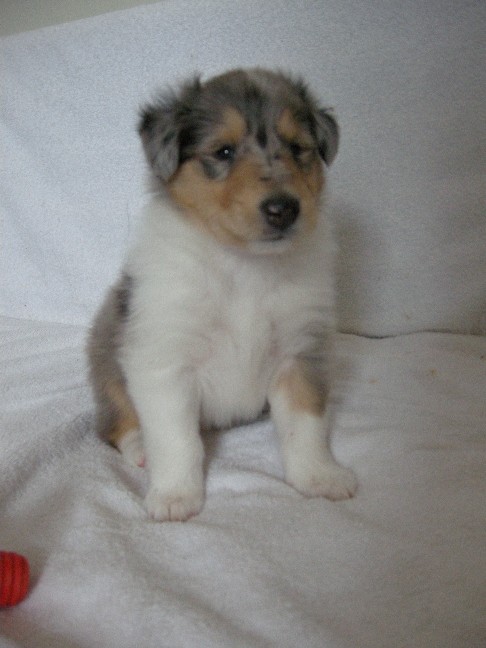 4 weeks