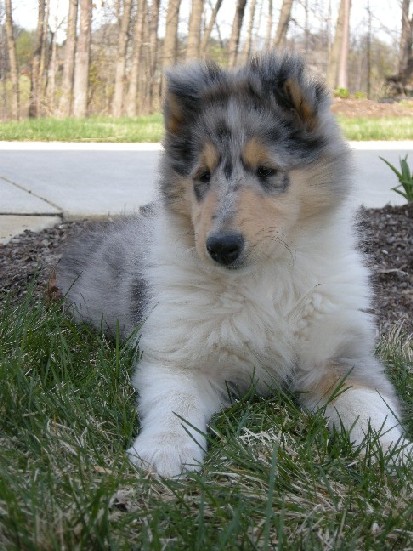 8 weeks