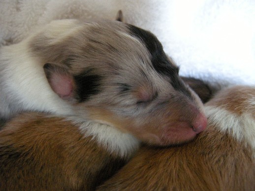 2 days old