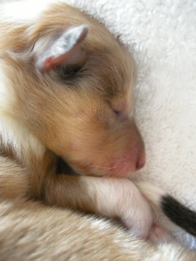 2 days old