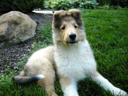 9-10 weeks