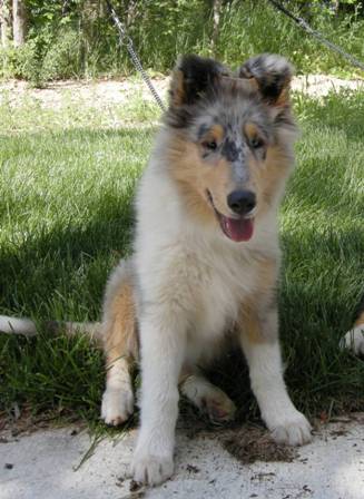 13 weeks