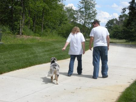 14_wk_old_Blue_Merle_Male_Collie_Smudge_and_his_new_family_1