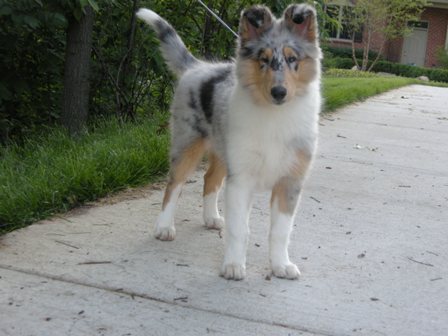 14 weeks