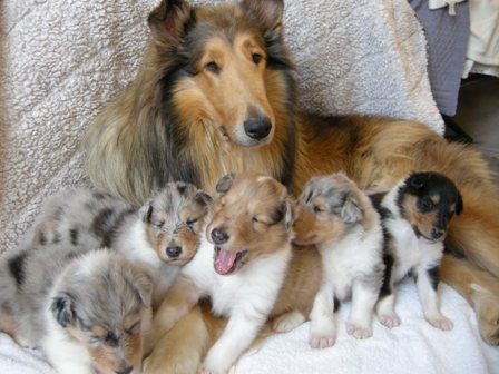 3 weeks - Group Shot