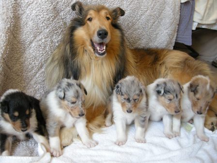 3 weeks - Group Shot