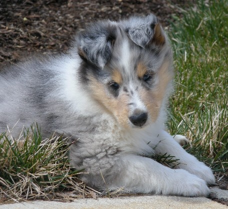 6 weeks