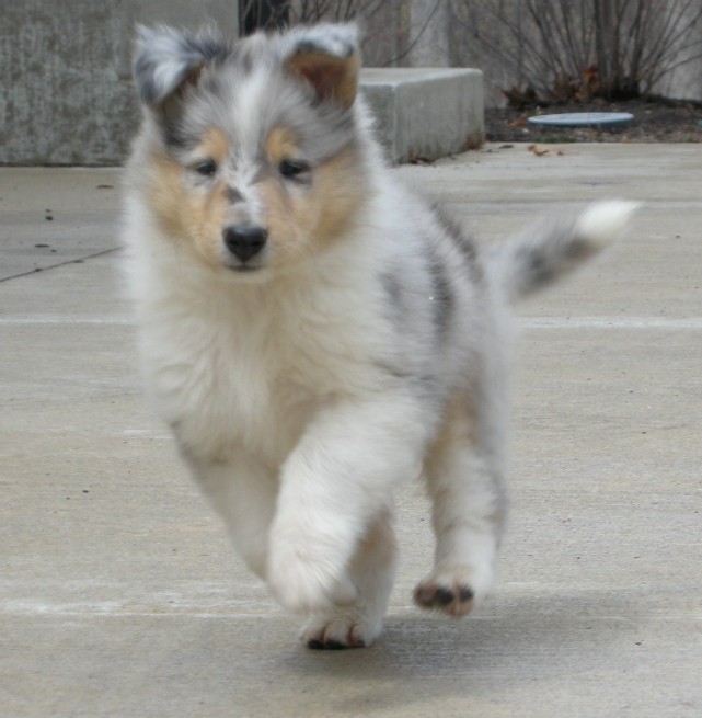 6 weeks