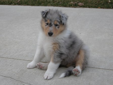 5 weeks