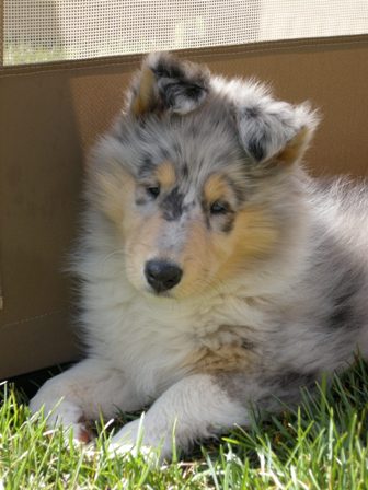 7 weeks