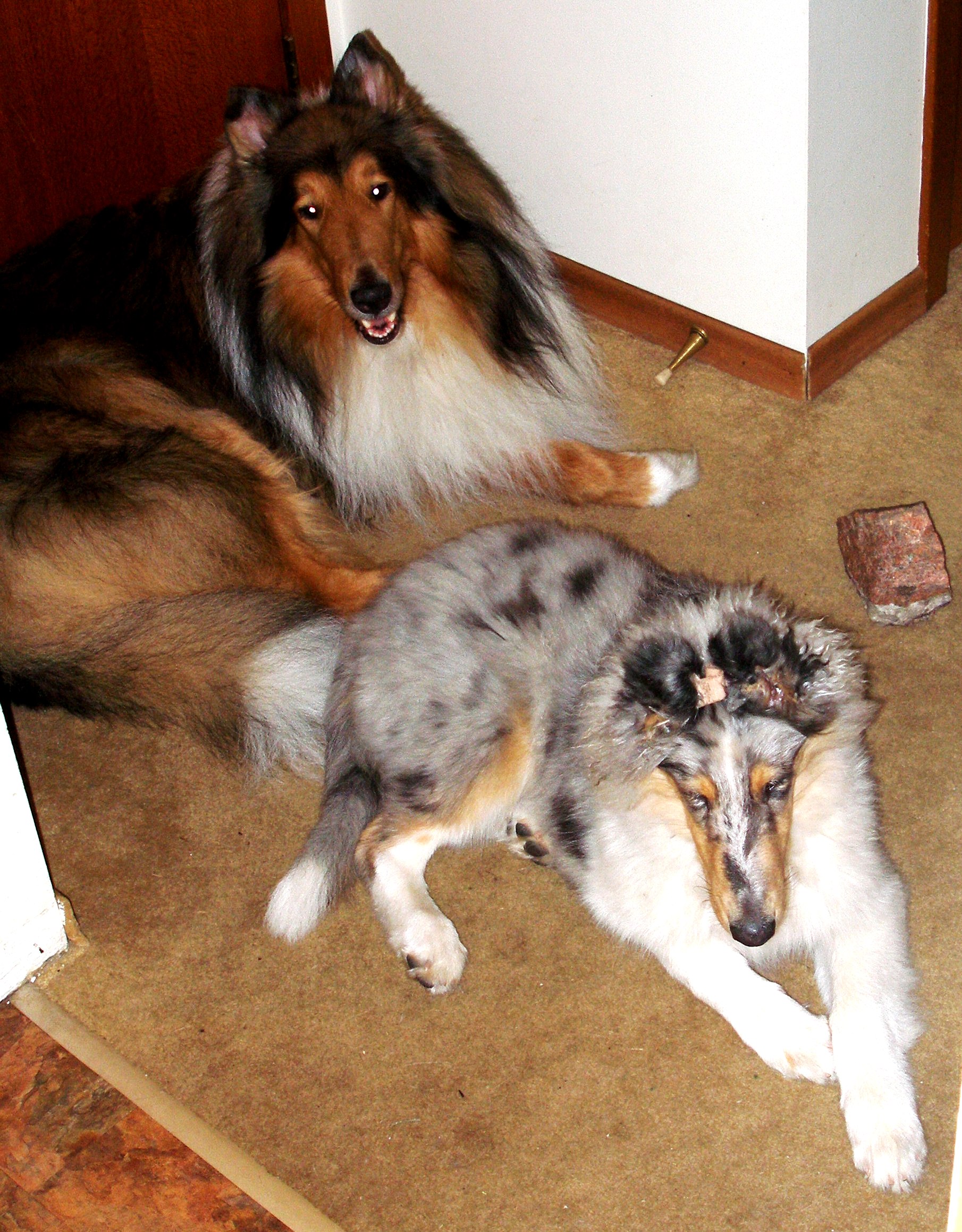 June 28, 2009 Talisker & Logan