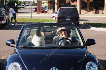 Going for a ride in STYLE