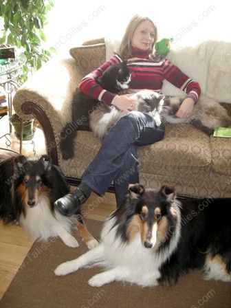 Our Animal Family