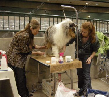 Hope being groomed