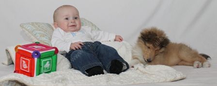 WM_Gallery_01-02-11_Sable_and_White_Female_Puppy_8_weeks_and_Baby3